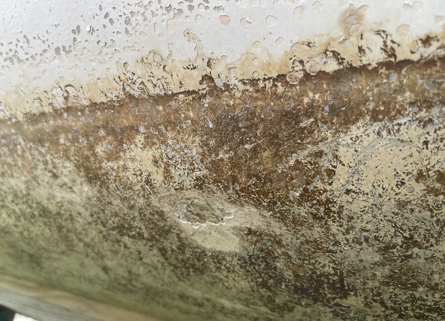 Close-up of suspected mold growth on wood framing documented on-site