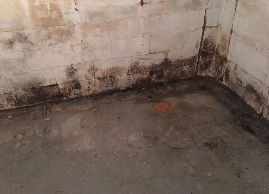 Extensive moisture staining along a basement foundation wall and floor